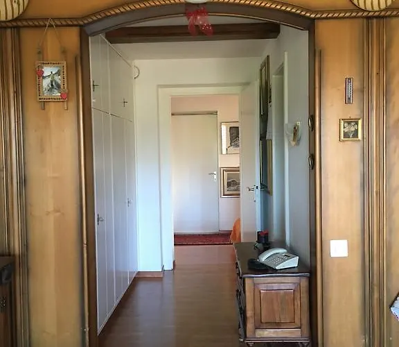 24 Etrier Pool & * 克莱恩 蒙塔纳