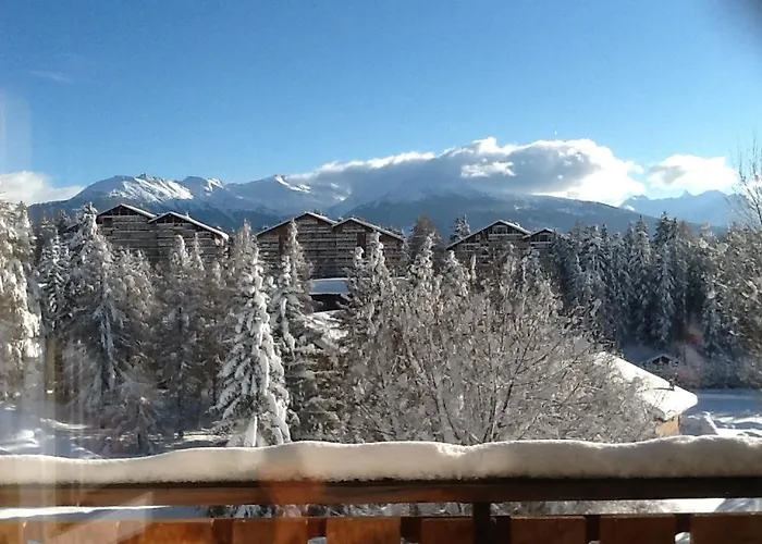 24 Etrier Pool & Crans-Montana