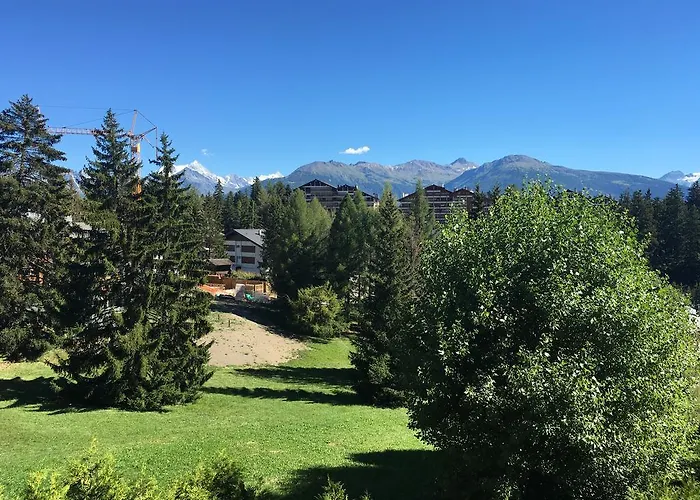 24 Etrier Pool & Crans-Montana